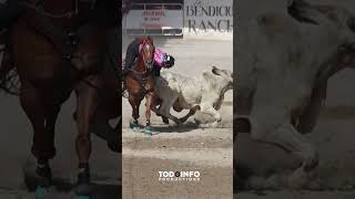 Download lagu COLEADORAS PANAMEÑAS 🎨📹@todoinfoproductions #toroscoleados #coleadoraspanameñas #toros mp3
