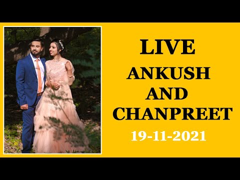 4K LIVE || MARRIAGE || ANKUSH AND CHANPREET || PATIALA LIVE || 19-11-2021