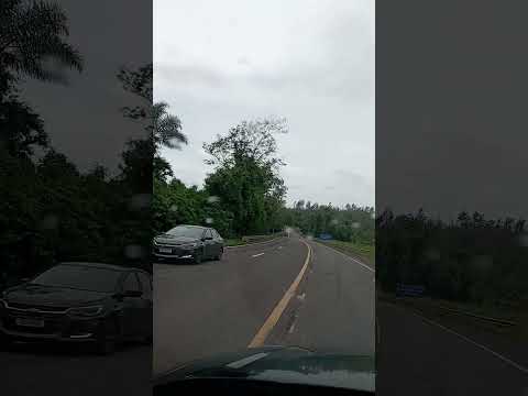 PR 323, TUNEIRAS DO OESTE-PR. A letra da música é minha, mas vocal e instrumental são da IA