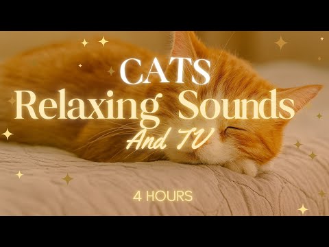 4 Hours of Cat TV & Soothing Music | Relax Your Cat with Nature & Sounds | HD 🐈