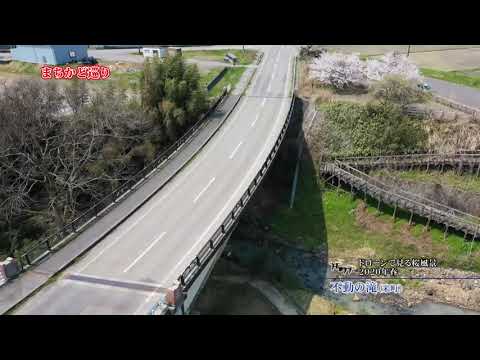 米町不動の滝 桜2020（ドローン映像）