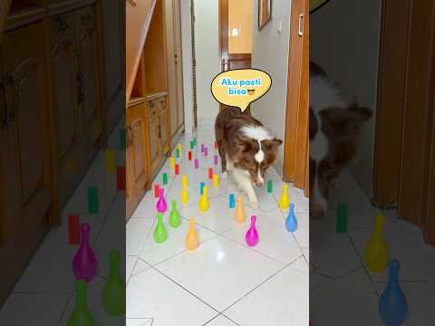 CHALLENGE RINTANGAN ANABUL‼️ RYUKI & RAIDEN BERHASIL GAK YAA??😂 #shorts #anjinglucu