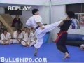 Karate﻿ Kyokushin vs Zui Quan