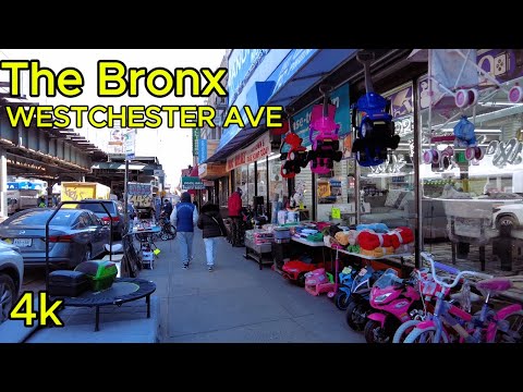 Exploring The Bronx: A Walking Tour of Westchester Avenue from Elder Ave to Parkchester(03 03, 25)!!