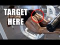 How To Split Up Legs Two Times A Week | Mike O'Hearn