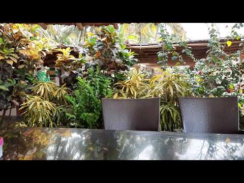 Om Beach, Gokarna (Viewed from Sangam Cafe) | Best Beaches in India