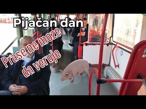 Kako putnici vide vozaca a kako on vidi njih….