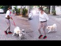 Hottie Malaika Arora Spotted With Her Pet During Evening Walk At Bandra Pali Hill