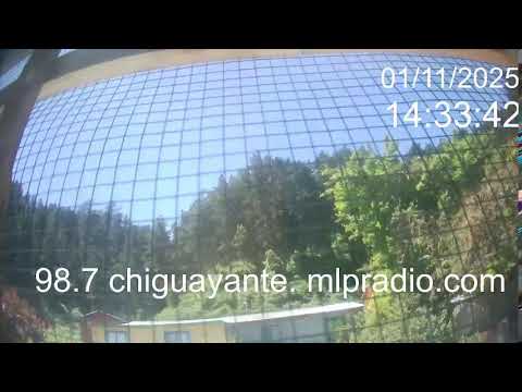 Chiguayante Bio Bio Chile, en Vivo. Live Cam, Camara en vivo.
