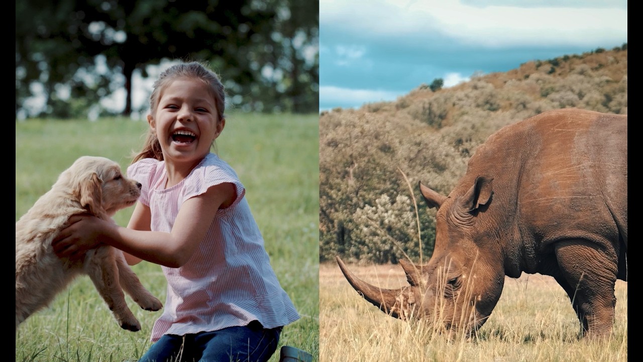 Introducing LAR Verify: Automated Compliance for Live Animal Shipments