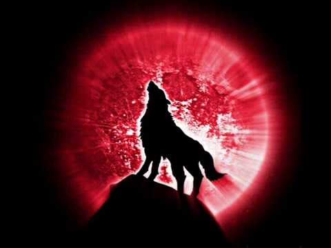 Wolfling Project feat Kate Lesing - See me Now