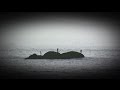 Vinicius Cantuária - O barquinho
