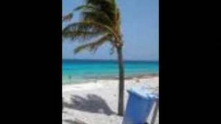 Dias de Verano-Amaral