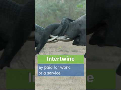 Intertwine Meaning - English Vocabulary Word #shorts 🔥