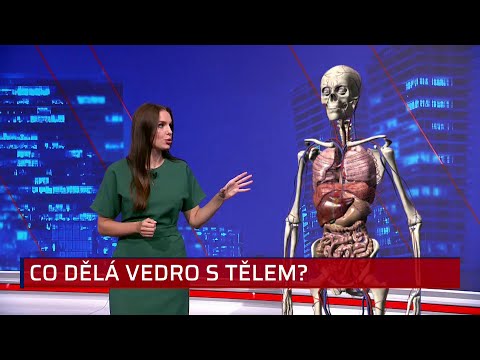 Když se tělo vaří. Podívejte se, jak lidské orgány reagují na extrémní horka