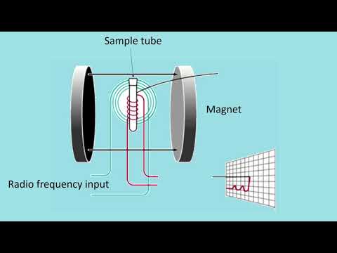 Nuclear Magnetic Resonance (NMR): Principles
