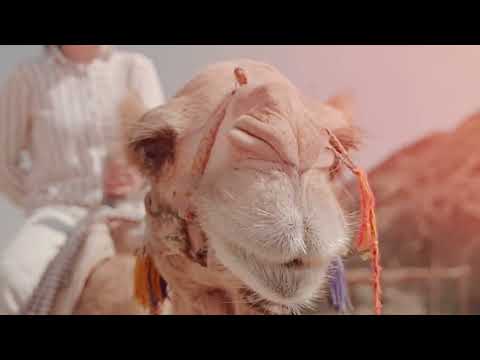 Gary Caos, Andy Graft - Caravan Petrol (Gary Caos Club Mix) | Lyric Video