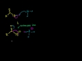 Carboxlic Acid Introduction Video Tutorial