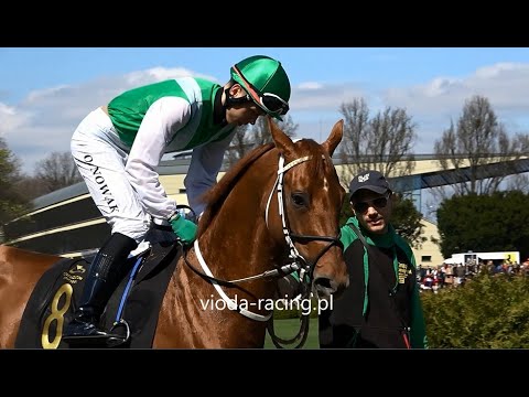 Gon. I (N. Dandolo - Handikap Otwarcia) - 24.04.2022 - Neverland (Ruten - Nelmona)