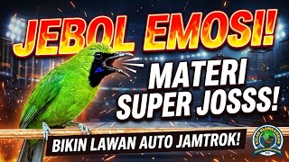 Download lagu 🔴EMOSI GACOR NEMBAK JAMBUL NGENTROK‼️- CUCAK IJO GACOR BONGKAR ISIAN KASAR, AUTO NYAUT mp3