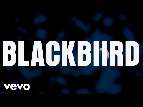 BLACKBIIRD (Official Lyric Video)