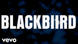 Musik-Video-Miniaturansicht zu Blackbiird Songtext von Beyoncé feat. Tanner Adell