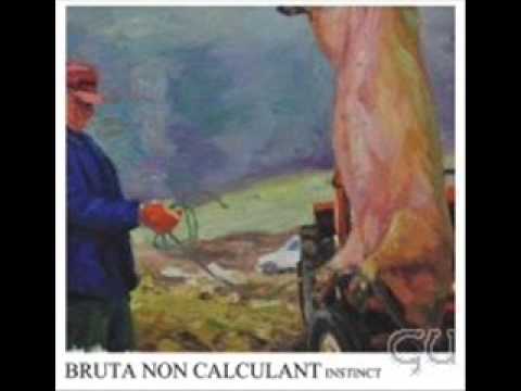 Bruta Non Calculant - Act Bravely