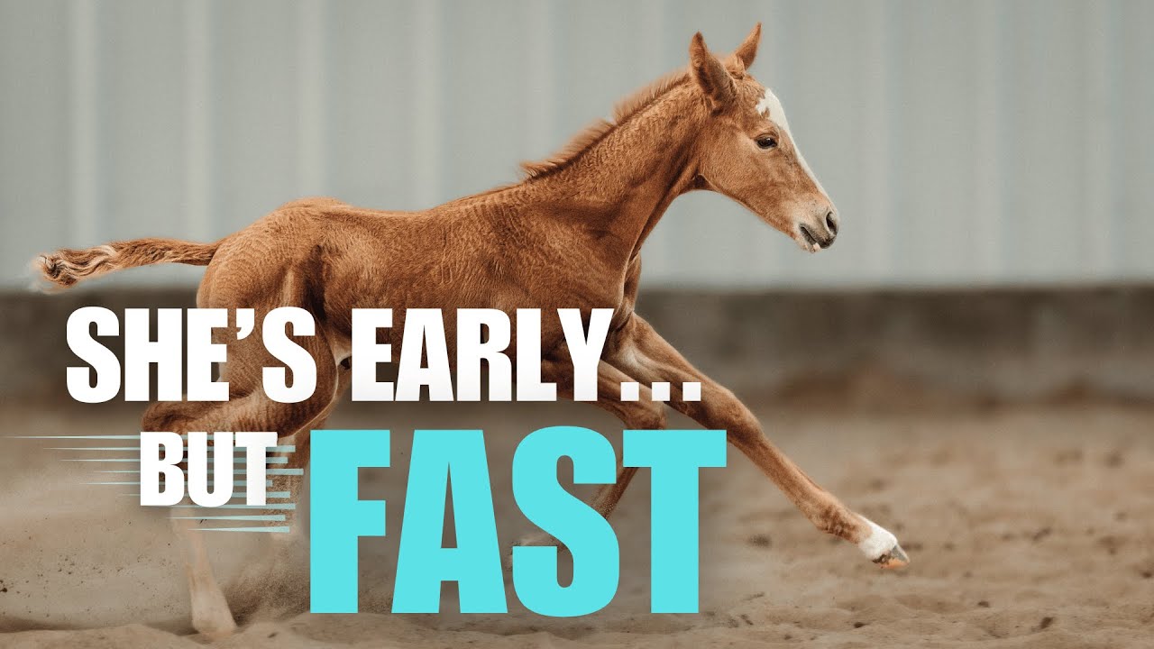 She might be my new favorite foal!