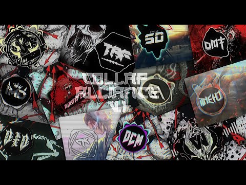 IVORY, ECRAZE, Graphyt & Samplifire - ANIMALZ