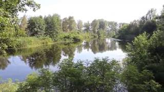 Ссылка