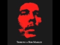 Fidel Nadal - Jah Live (Original Bob Marley) 