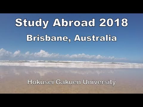 海外事情ブリスベンチーム
