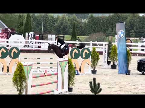 O'Connor TN (Ogano Sitte x Accord II) , CSIYH 5y old Vazgaikiemis