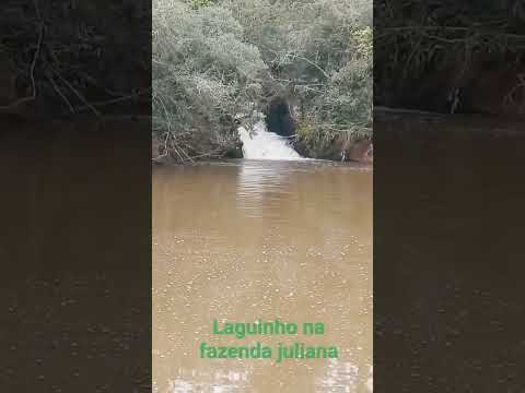 #lagoas essa é  na fazenda Juliana em fazenda vila nova Rio Grande do Sul