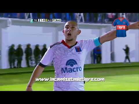 LA CAMISETA DE TIGRE - Gol de Carlos Ariel Luna a Aldosivi (Mar del Plata) (2015)