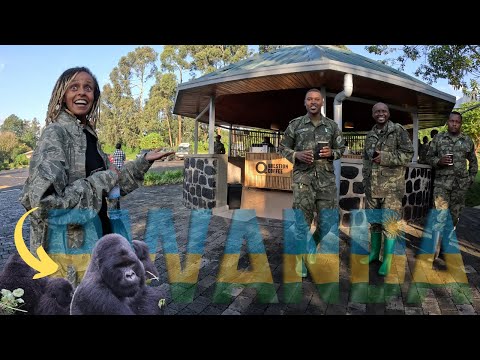 VOLCANOS NATIONAL PARK | GORILLA 🦍 SAFARI | KWITONDA FAMILY | RWANDA DAY 4