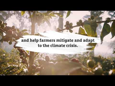 Douwe Egberts Barista Editions & Rainforest Alliance