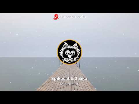 Spikecat & J Sika - Minimalist [Cats United LP]