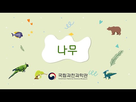 「나무」의 한국수어 표현
