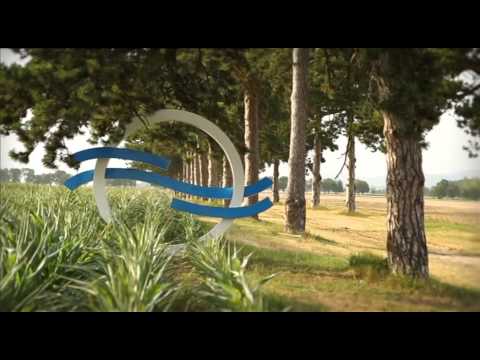 Duna World Ident Nyár 5