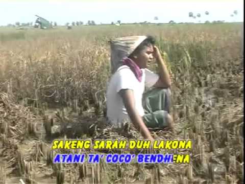 lagu madura reng tanih