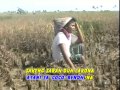 Lagu Madura Reng Tanih