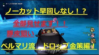 ドラクエ10実況！豚皮レア泥　おどる宝石を使いこなせ！～ドロップ金策特集編～