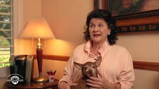 Dental clinic commercial video
