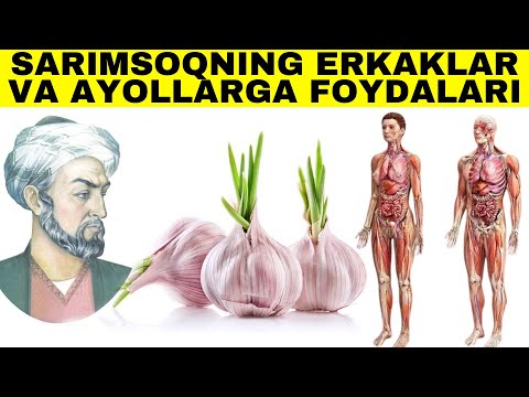 SARIMSOQ PIYOZNING FOYDALARI HAQIDA SIZ BILMAGAN HAQIQATLAR!