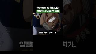 원피스) 견문색도 소용없다는 시류의 사기적인 능력