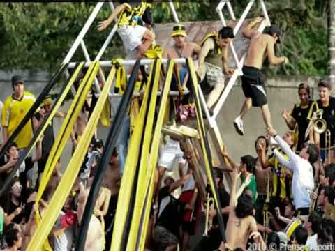 "LA COPA LIBERTADORES ES MI OBSESIÓN // CÃNTICOS AURINEGROS //AVALANCHA SUR 1997 // L.B.D.A //" Barra: Avalancha Sur &bull; Club: Deportivo Táchira