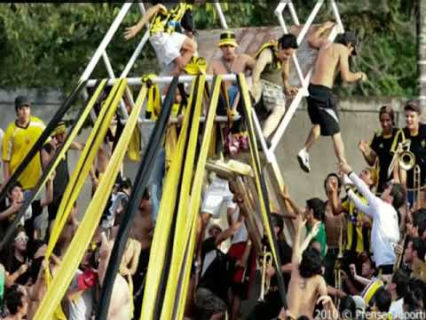 "LA COPA LIBERTADORES ES MI OBSESIÓN // CÃNTICOS AURINEGROS //AVALANCHA SUR 1997 // L.B.D.A //" Barra: Avalancha Sur • Club: Deportivo Táchira