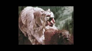 Andrea Parker - Atacama Giant