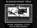 Rudimentary Peni- The Pope With No Name 